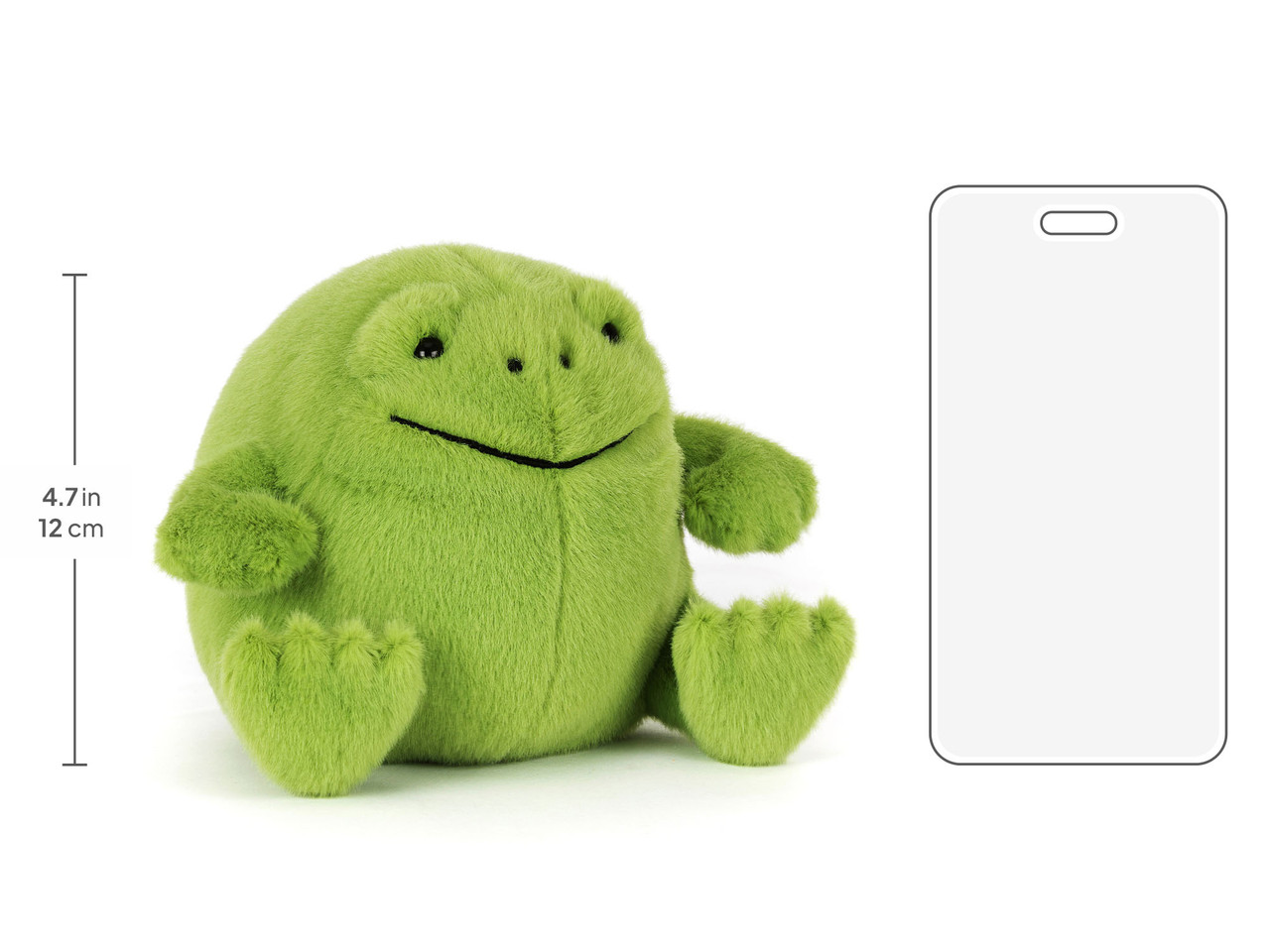 Ricky Rain Frog Smiling - 图片 5