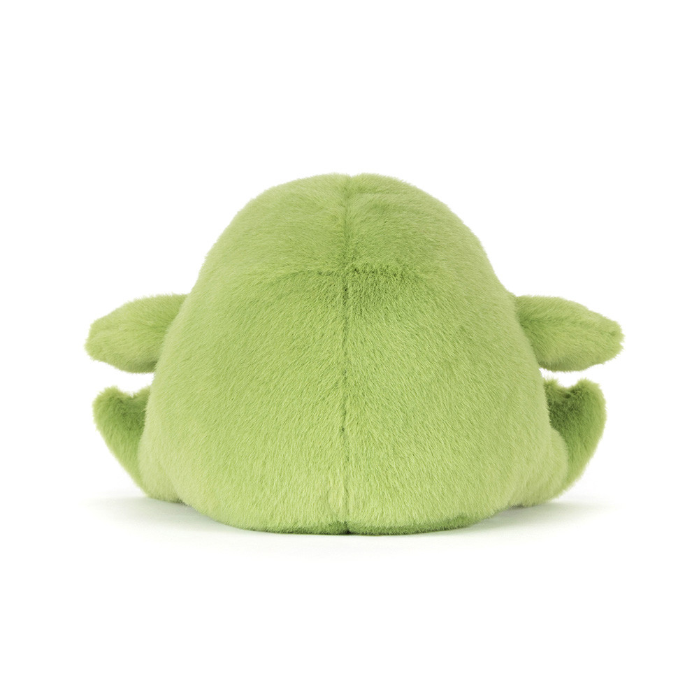Ricky Rain Frog Smiling - 图片 3