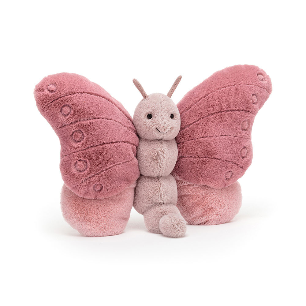 If I Were a Butterfly Book & Beatrice Butterfly - Image 4