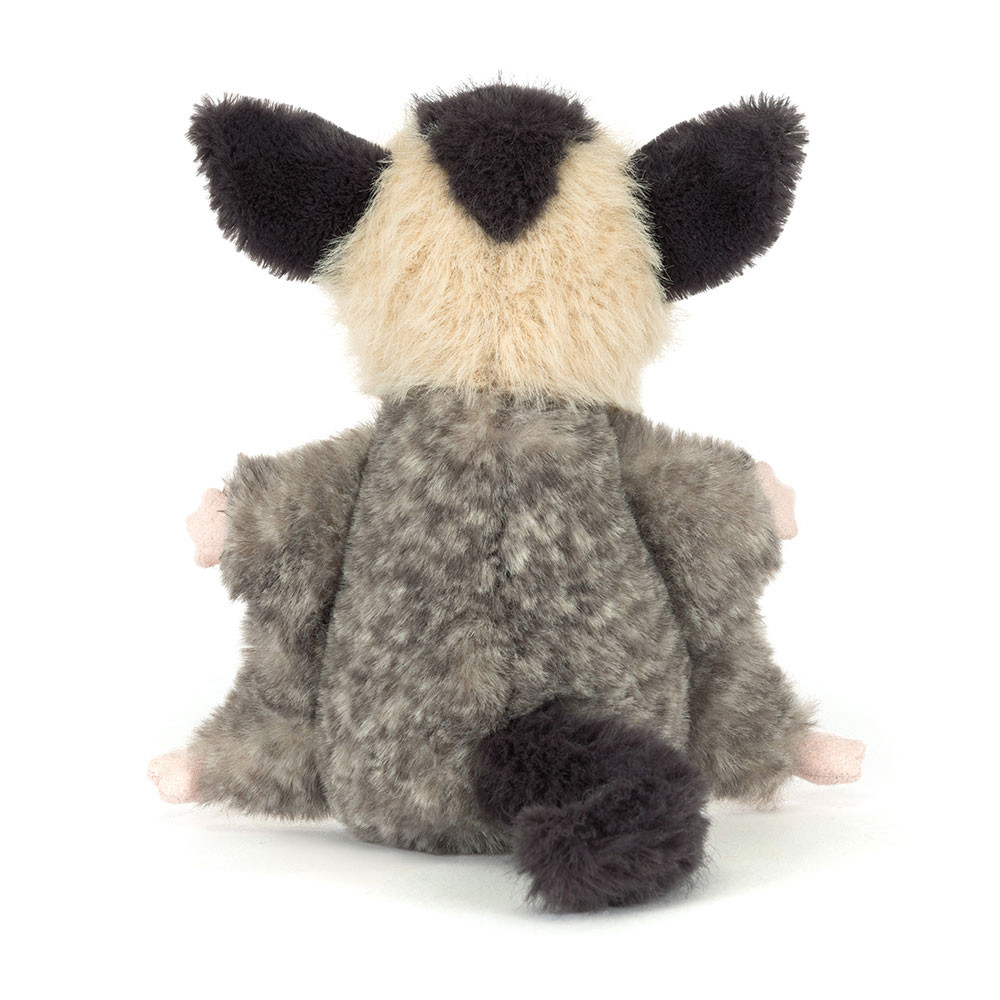 Lolly Sugar Glider - Image 4