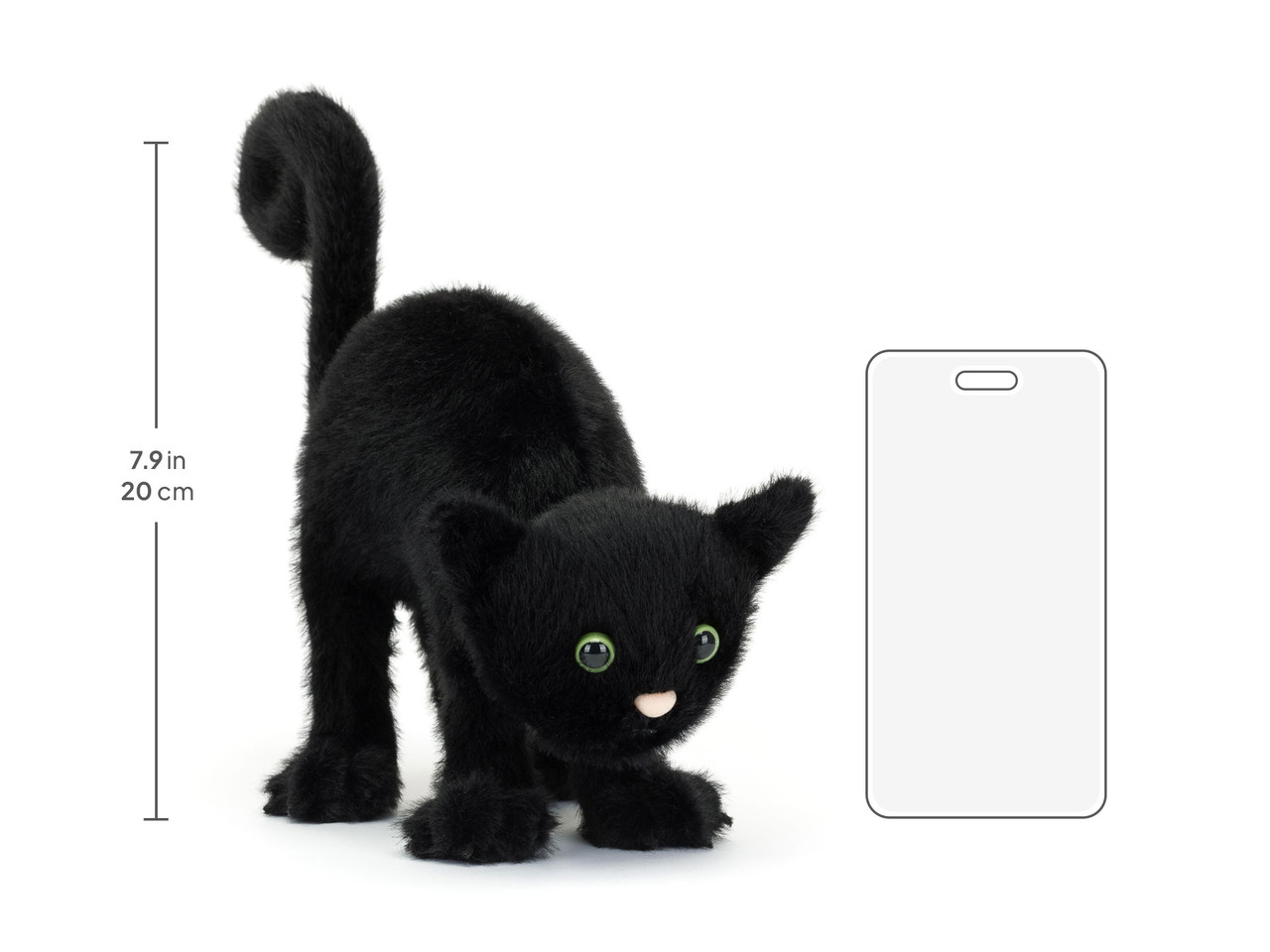 Spookipaws Cat - Image 4