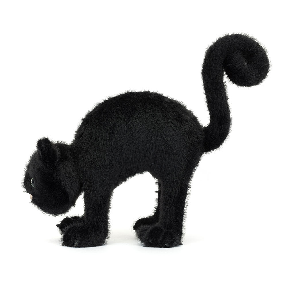 Spookipaws Cat - Image 2