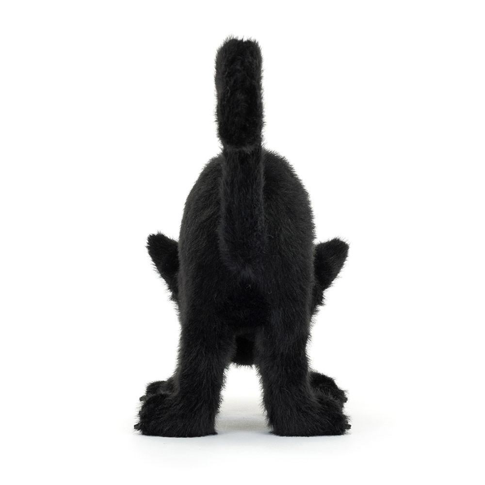 Spookipaws Cat - Image 3