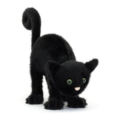 Spookipaws Cat