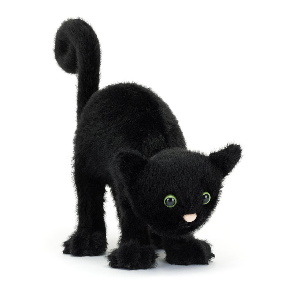 Spookipaws Cat